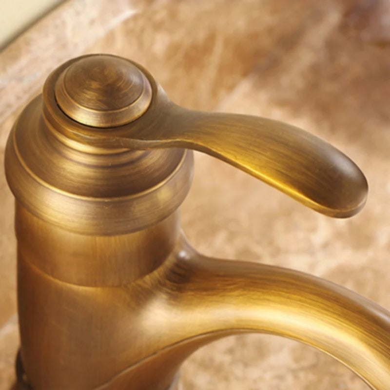 A close-up view of a brass faucet with a curved handle, showcasing its intricate design and texture.
