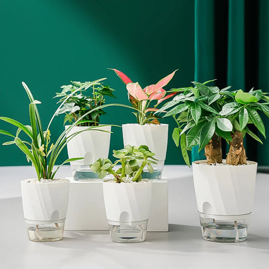 Automatic Self Watering Planter — Hydroponic Double Layer Pot