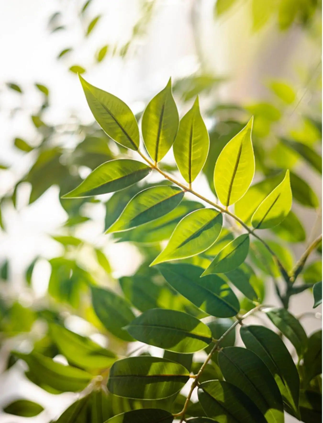 Realistic Silk Artificial Fiddle Leaf Fig Indoor Plant
