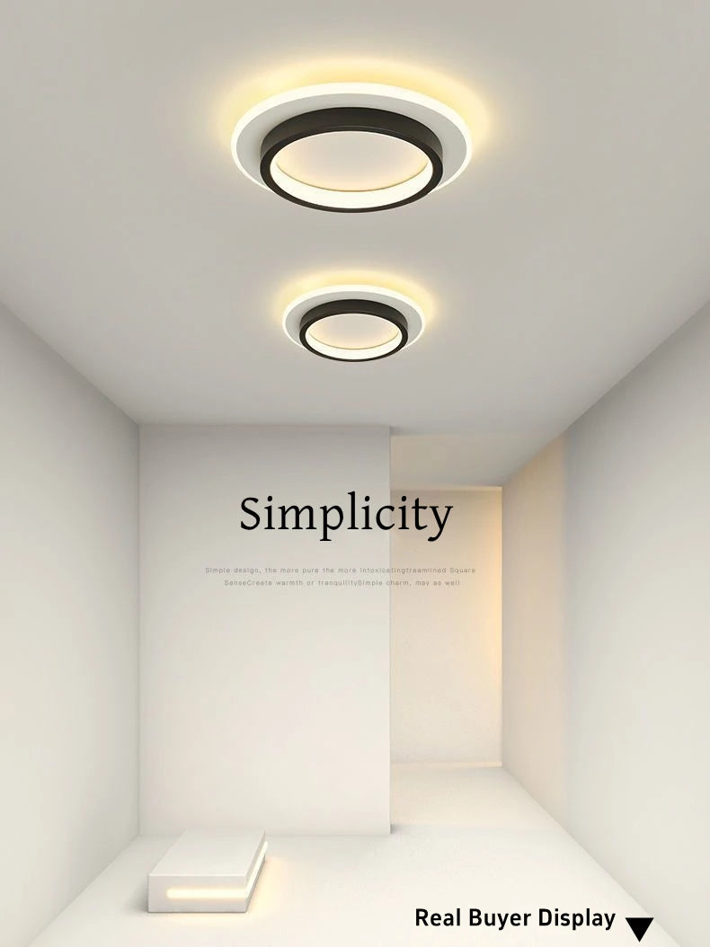 Nordic Metal Acrylic Touch Switch Ceiling Lamp