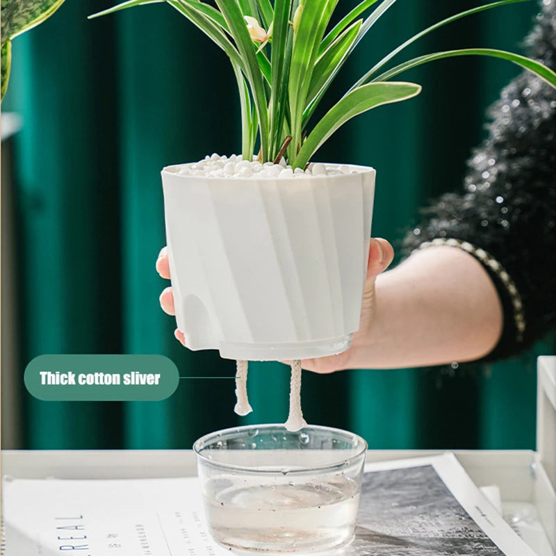 Transparent Double Layer Automatic Self Watering Planter