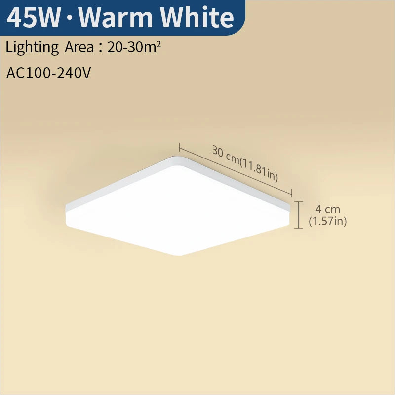 Modern Square Dimmable LED Ceiling Lamp