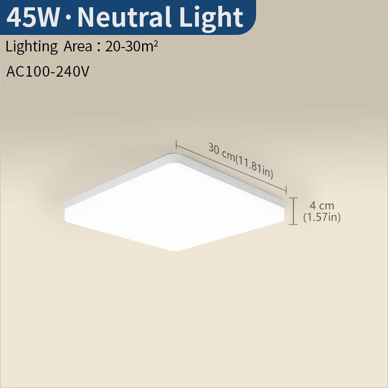 Modern Square Dimmable LED Ceiling Lamp