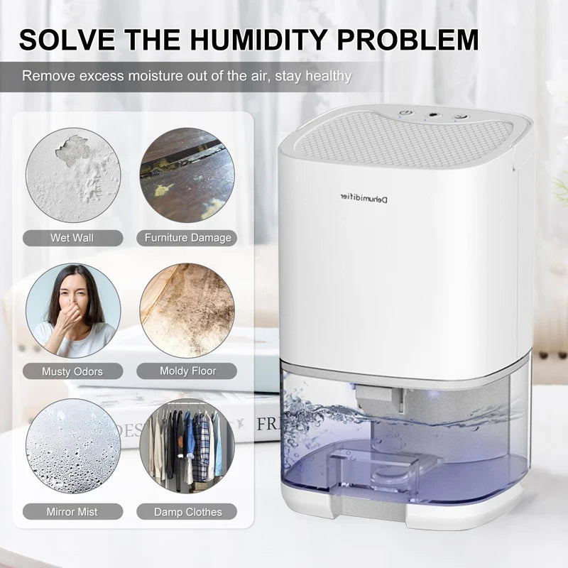 Portable Air Dehumidifier — Compact Moisture Absorber for Home