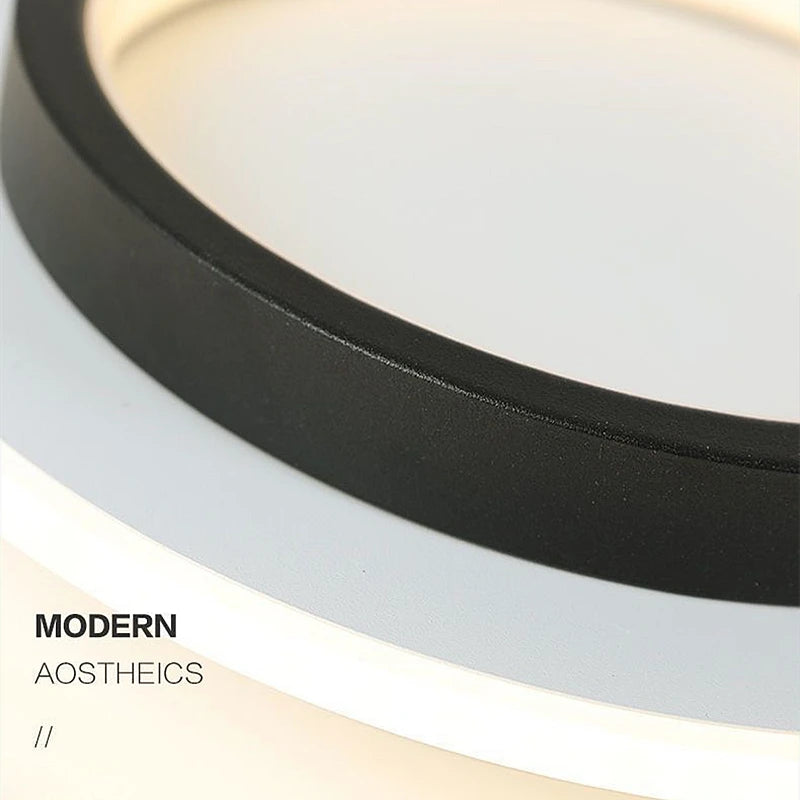 Nordic Metal Acrylic Touch Switch Ceiling Lamp