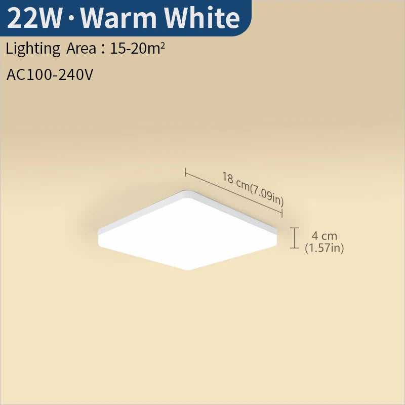 Modern Square Dimmable LED Ceiling Lamp