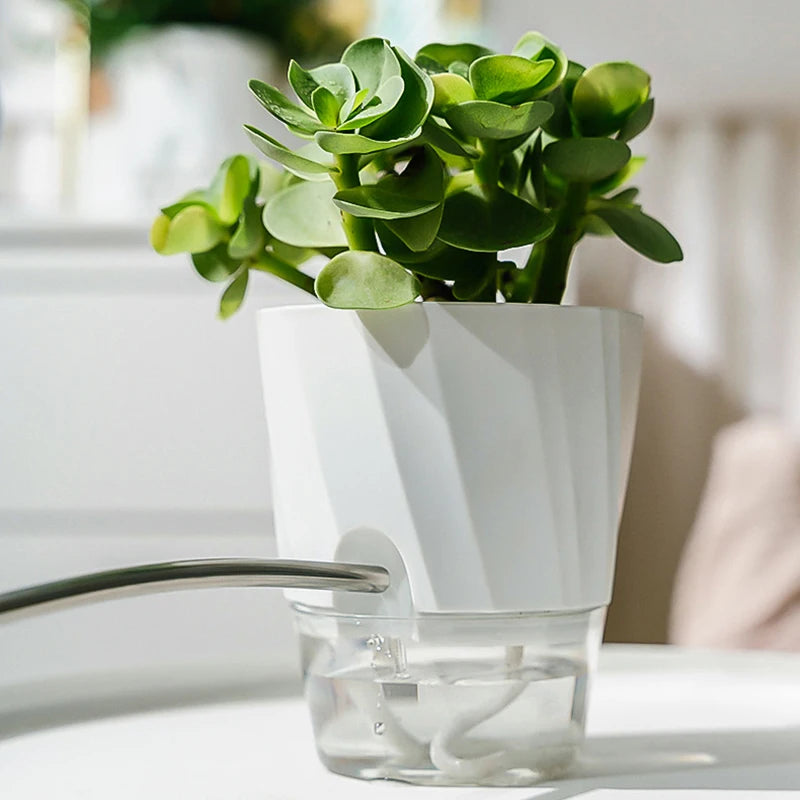 Transparent Double Layer Automatic Self Watering Planter