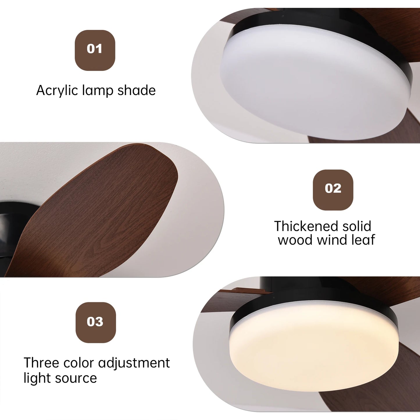 Modern Quiet LED Remote Control Ceiling Fan with Light